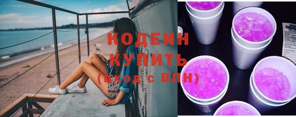 дживик Няндома