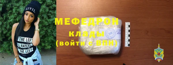 дживик Няндома