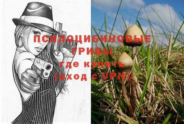 дживик Няндома