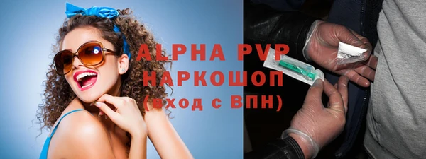 дживик Няндома