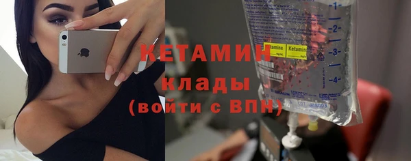 дживик Няндома