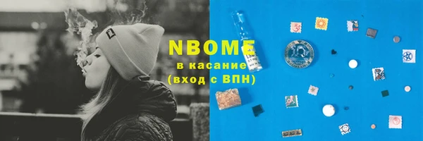 дживик Няндома