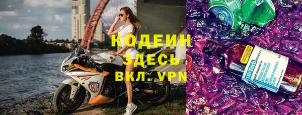 дживик Няндома