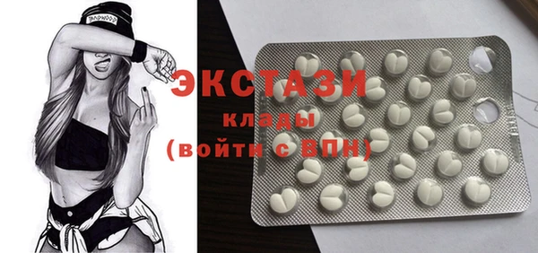 дживик Няндома