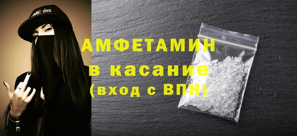 дживик Няндома