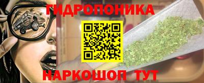 крисы Новозыбков