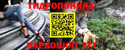 a pvp Новодвинск