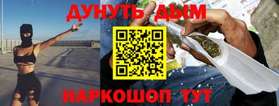 крисы Новозыбков