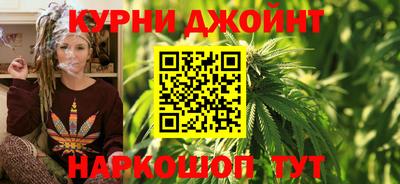 крисы Новозыбков
