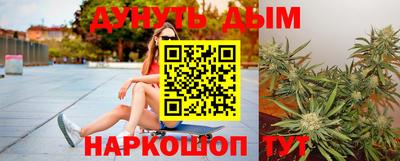a pvp Новодвинск