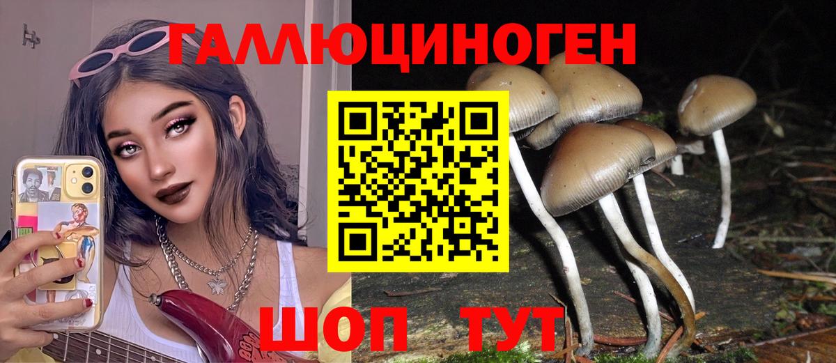 Псилоцибиновые грибы прущие грибы  Вход с VPN  Чита 